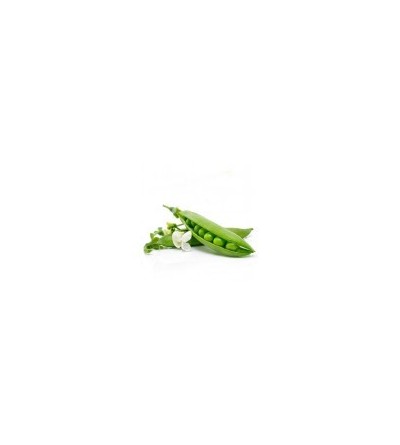 Petits Pois Plateau de 5 kg