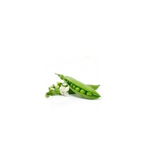 Petits Pois Plateau de 5 kg