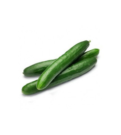 Concombre