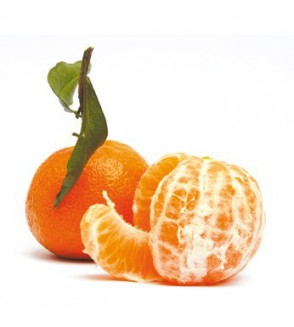 1 k g de Clémentines Tr. imazalil