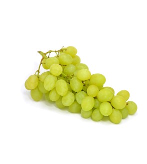 1 grappe de Raisin blanc 500gr minimum