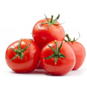 1 kg de Tomates rondes Cal. 57/67