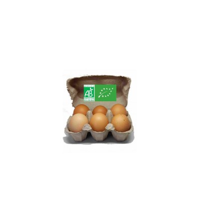 6 oeufs BIO