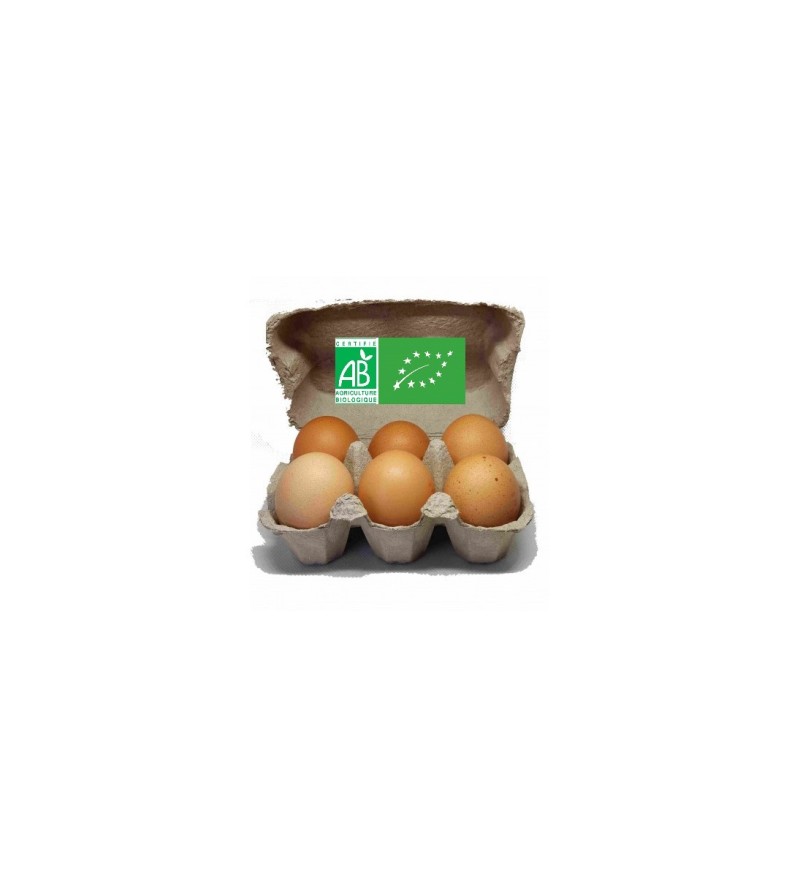 6 oeufs BIO