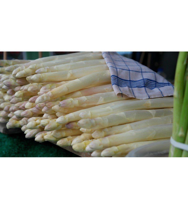 Asperges Cat 2 Cal. 22+ - Cagette de 5 kg