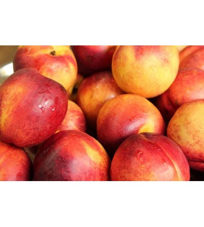 Nectarines Env. 4 kg le plateau