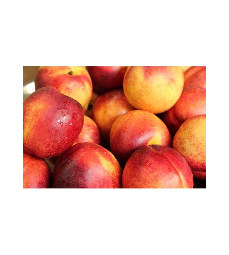 Nectarines Env. 4 kg le plateau