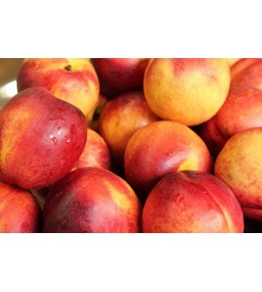 Nectarines Env. 4 kg le plateau