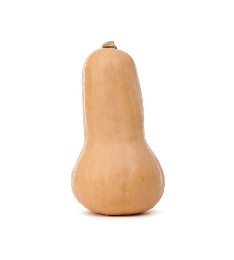 1  Butternut