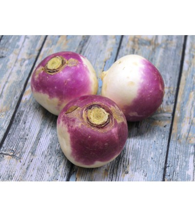3 à 4  Navets violets
