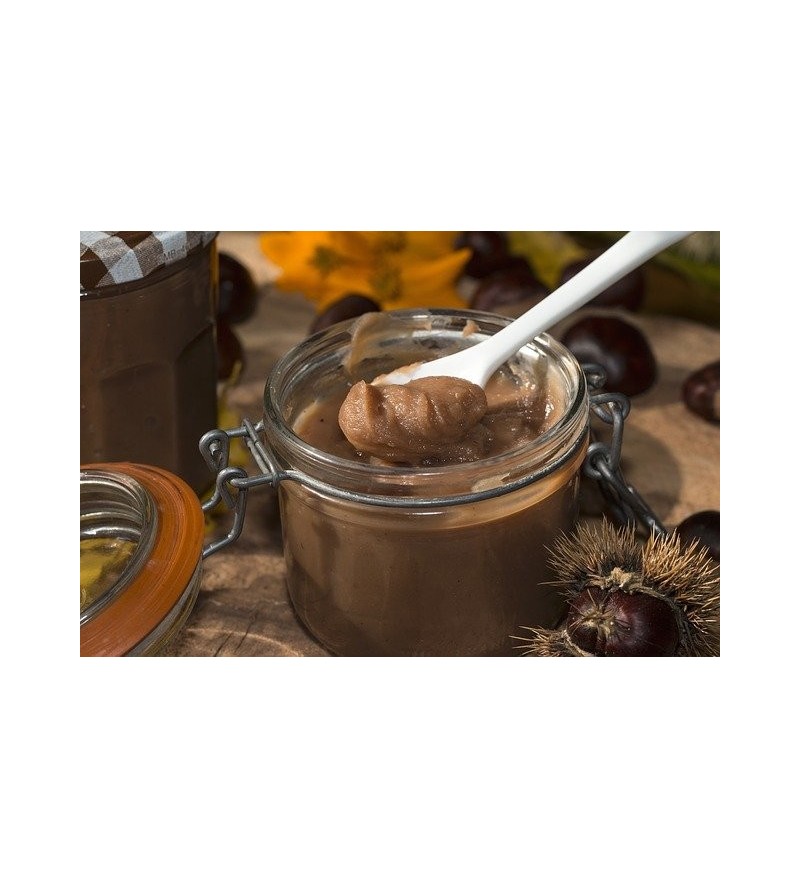 Crème de Marrons BIO 300 gr 