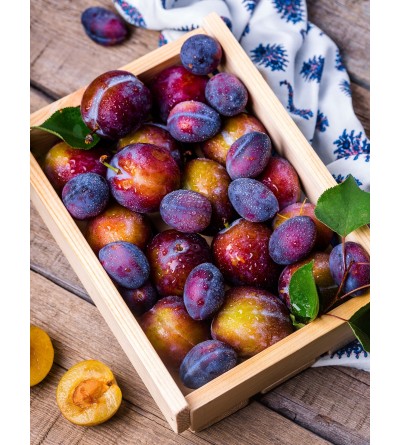1 kg de prunes, variété selon arrivage