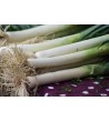BIO 1kg de poireaux