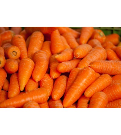 BIO 1kg de carottes