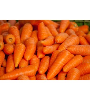 BIO 1kg de carottes