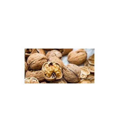 3kg de noix BIO ( Gironde )