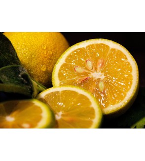 1kg de citrons jaunes