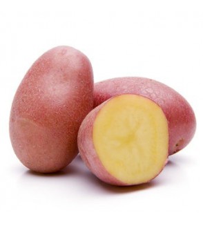 BIO 1 ke de pomme de terres nouvelles