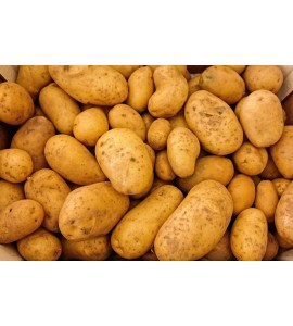 10kg de Pomme de Terre Agata