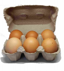 Oeuf fermiers plein air