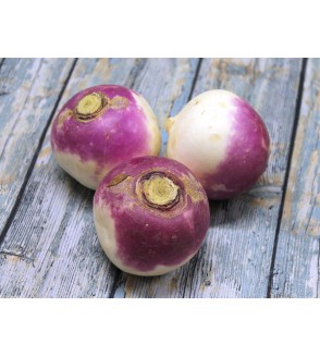 3 à 4  Navets violets