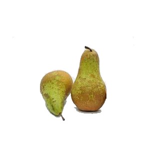 copy of