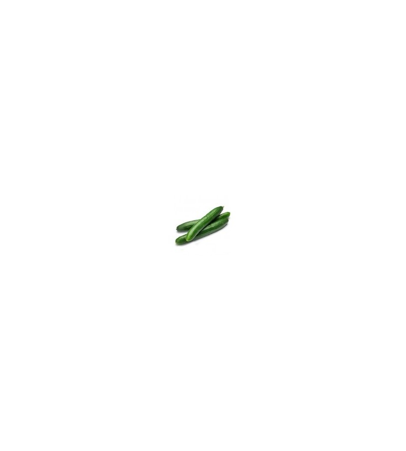 Concombre