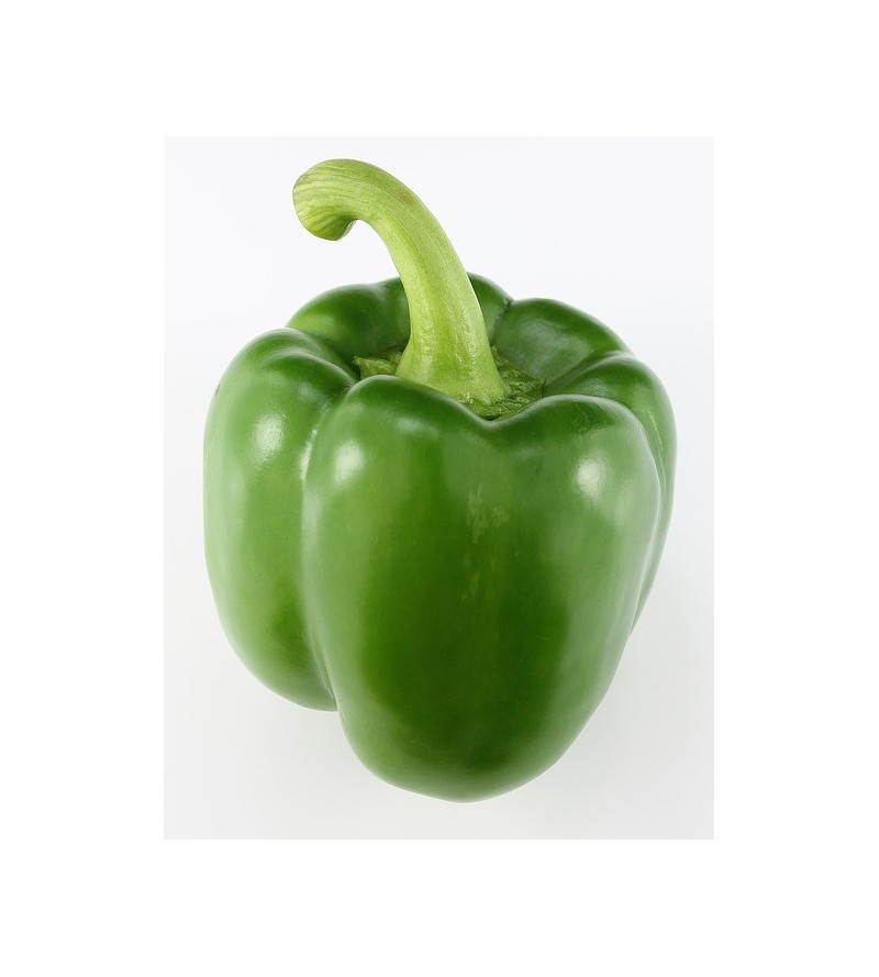 1 Poivron vert 