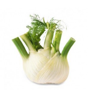 2 Bulbes de Fenouil